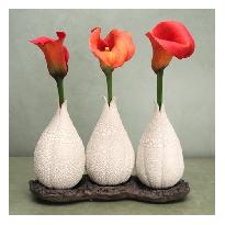 Triplet Showpeices