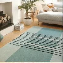 Carpet Cleaning