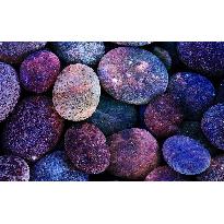 Still-life Wallpapers