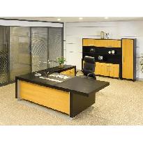 Luxurious Offices