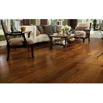 All Wood Finishes